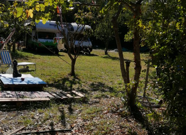 Gattolandia — Photo 3