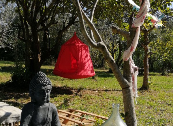 Gattolandia — Photo 4