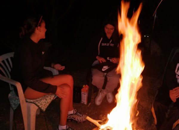 Gattolandia — Photo 6