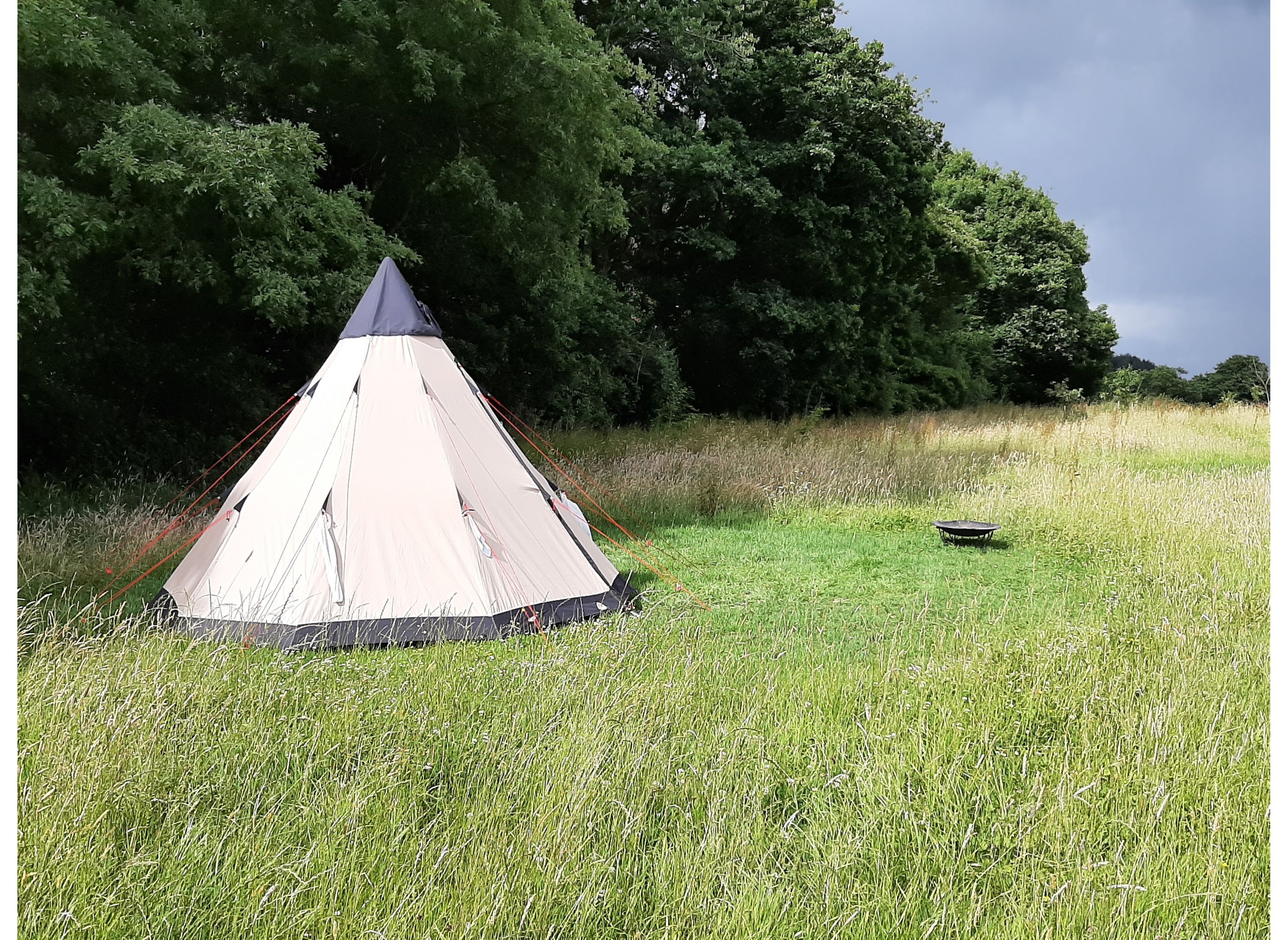 Bramble Meadow Camping & Shepherd's Hut — Місце для кемпінгу in Newton Abbot