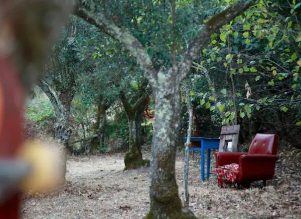 Casa Fluxus — Photo 3