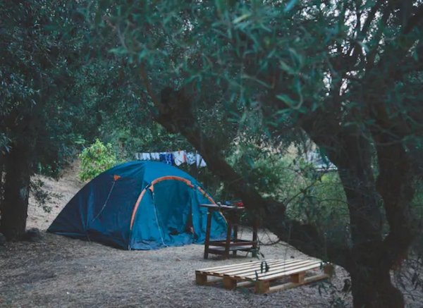 Casa Fluxus — Photo 4