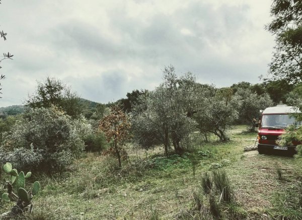 Casa Fluxus — Photo 5