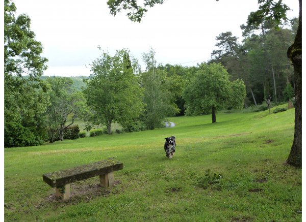 Le Domaine du terroir — Photo 4