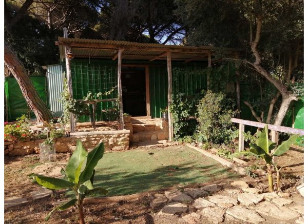 Finca Walden — Photo 5