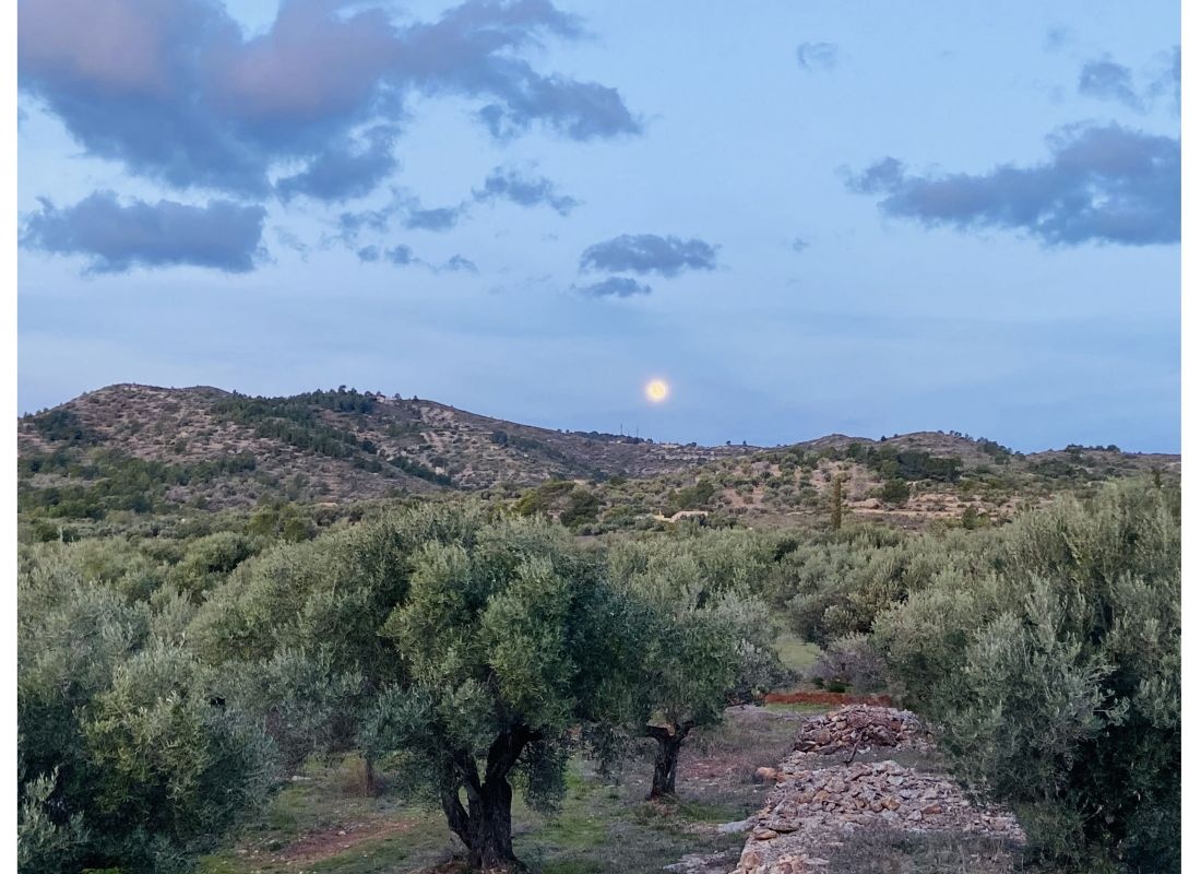 Gaia House — Campingplatz in Coll de l'Alba