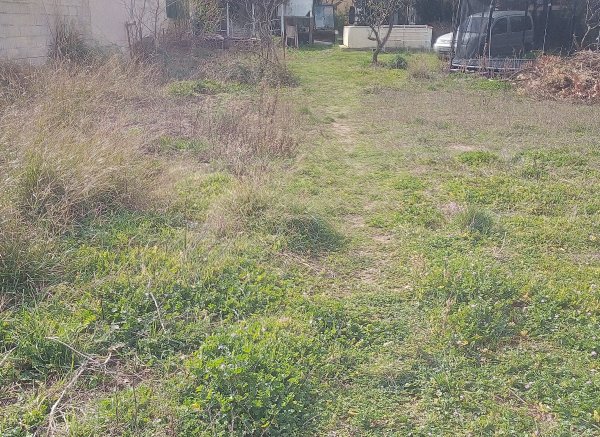 Bienvenue dans mon jardin