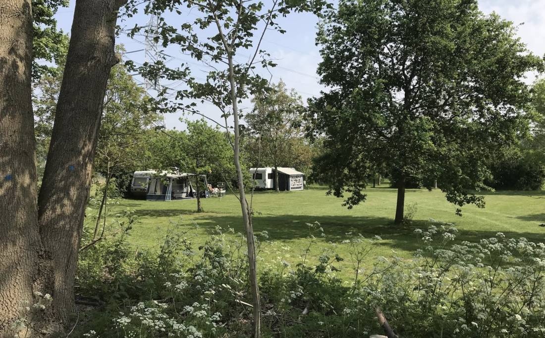 Camping De Toffe Peer — Vinařství in Driewegen