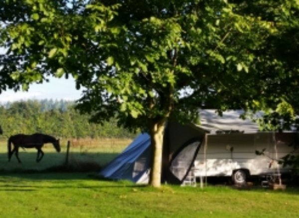 Camping De Toffe Peer — Photo 4