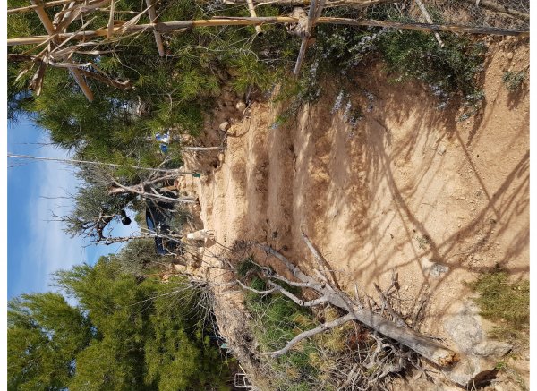 The holy mountain — Photo 2