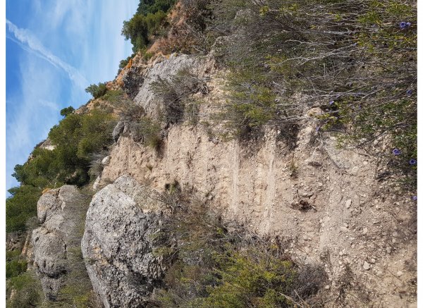 The holy mountain — Photo 3