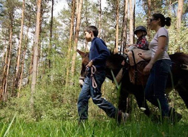 Soie Chambord — Photo 3