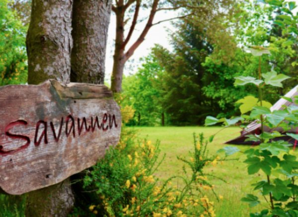 Tolne Camping — Photo 3