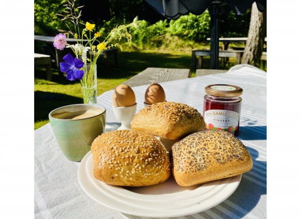 Tolne Camping — Photo 5