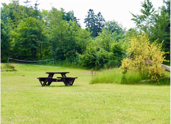 Tolne Camping — Photo 6