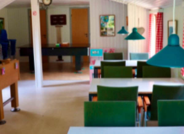 Tolne Camping — Foto 4