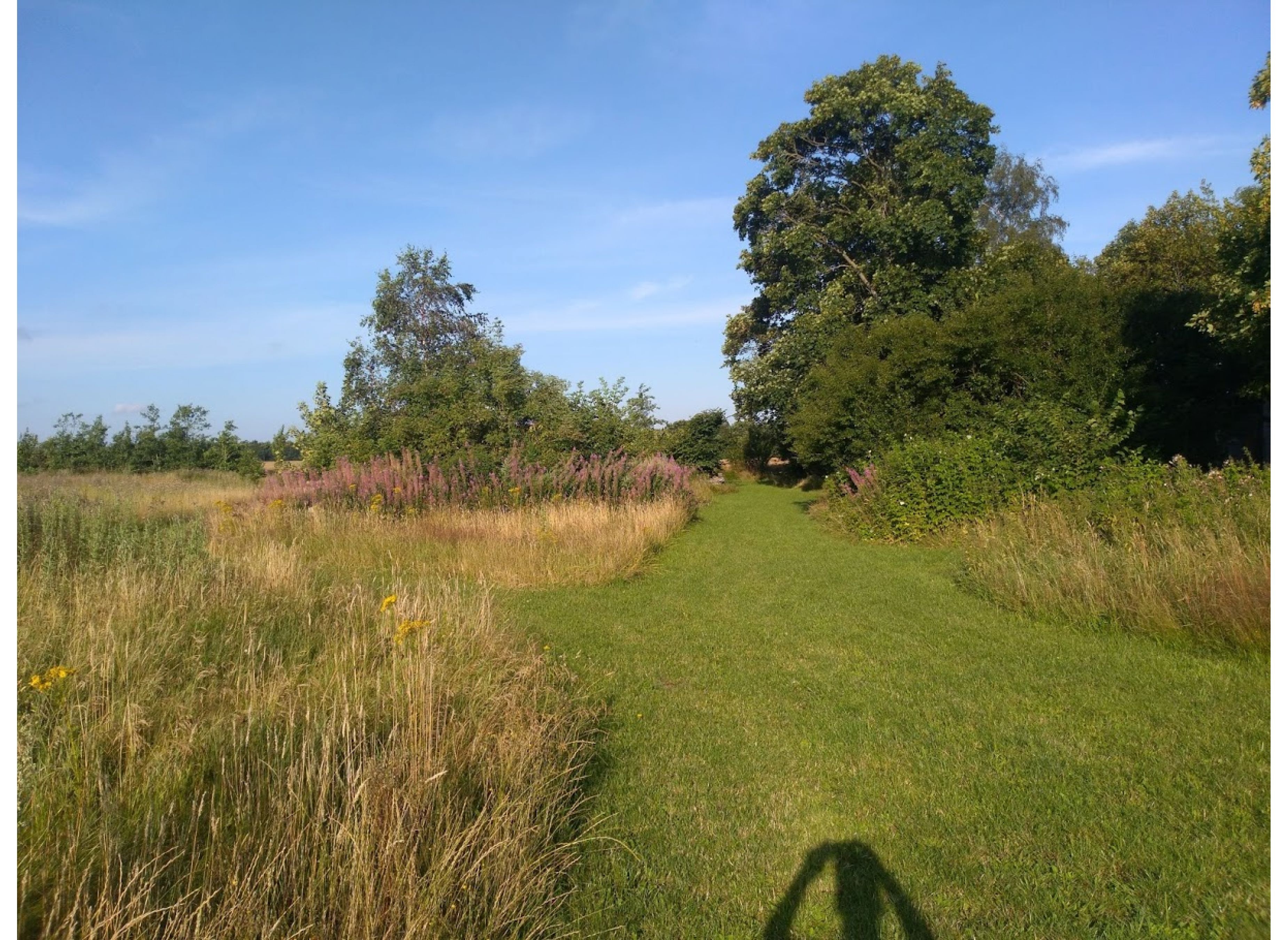 Woergård — Area da campeggio in Kjellerup