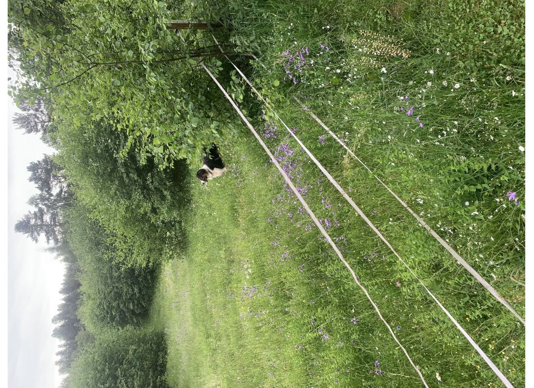 Bullergården — Area da campeggio in Gagnef