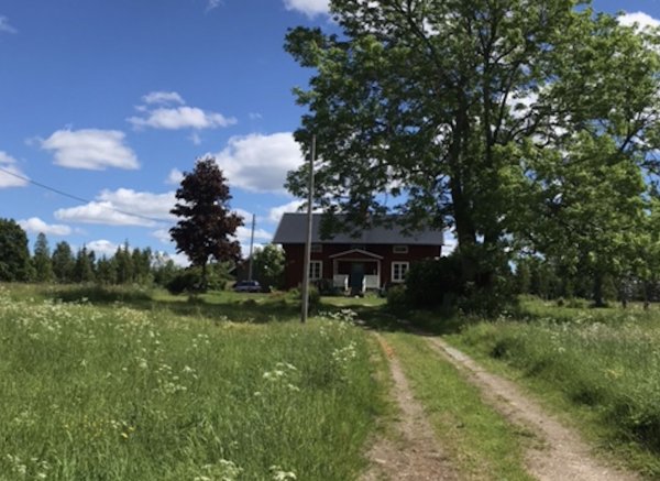 Riddarskogen 520 — Photo 2