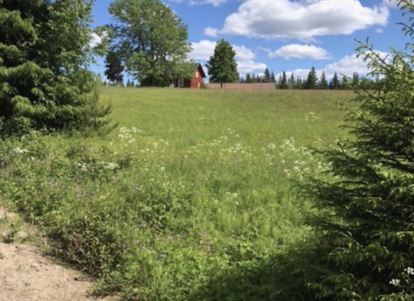 Riddarskogen 520 — Photo 3