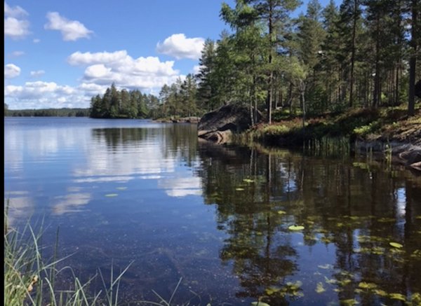 Riddarskogen 520 — Photo 4