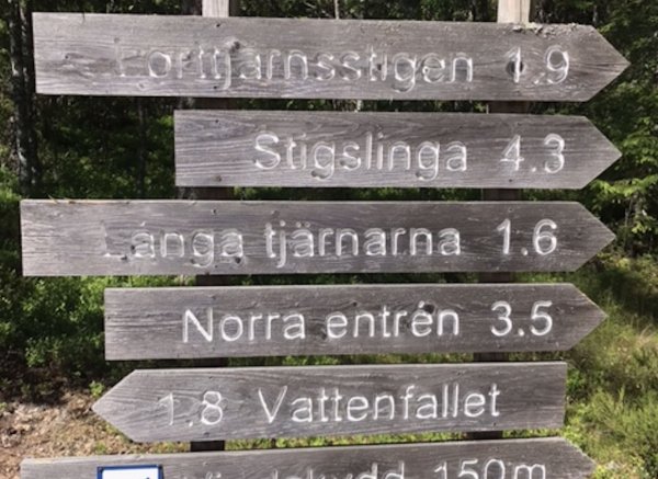 Riddarskogen 520 — Photo 6