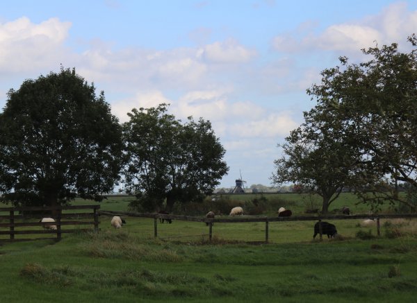 Vlisterhoeve — Foto 4