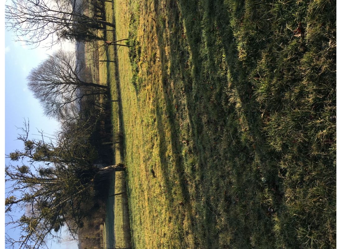 Chez Elisabeth — Kemp in Villerserine