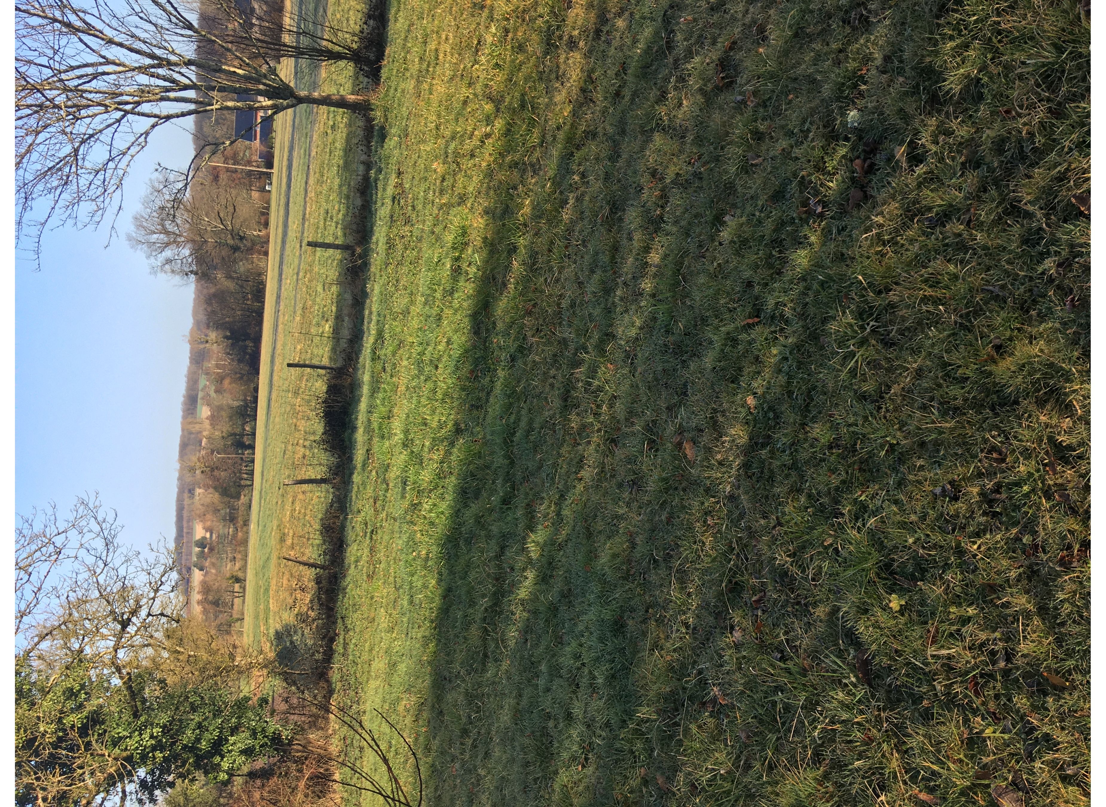 Chez Elisabeth — Camping in Villerserine