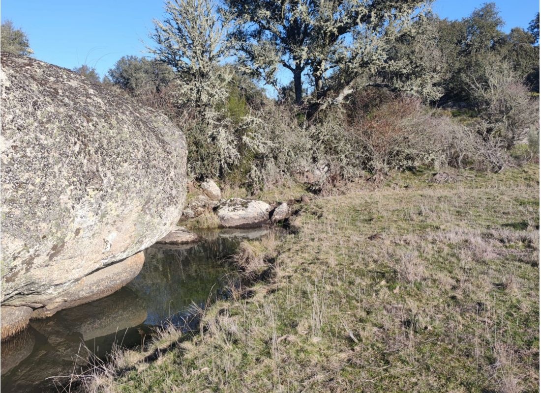 Zeta — Kemp in Moral de Sayago