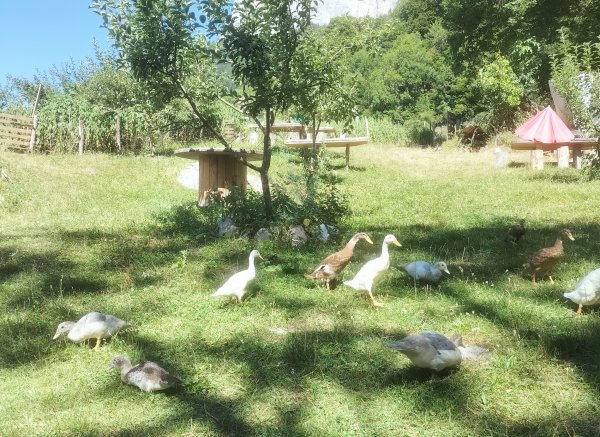 La ferme de la résistance — Photo 4