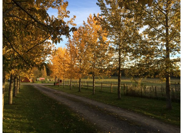 Fyrås Gård — Photo 4