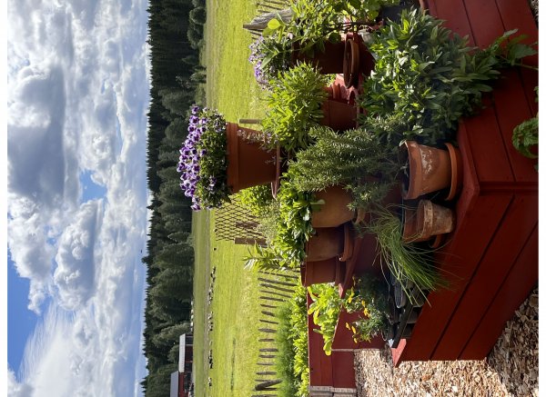 Fyrås Gård — Photo 5