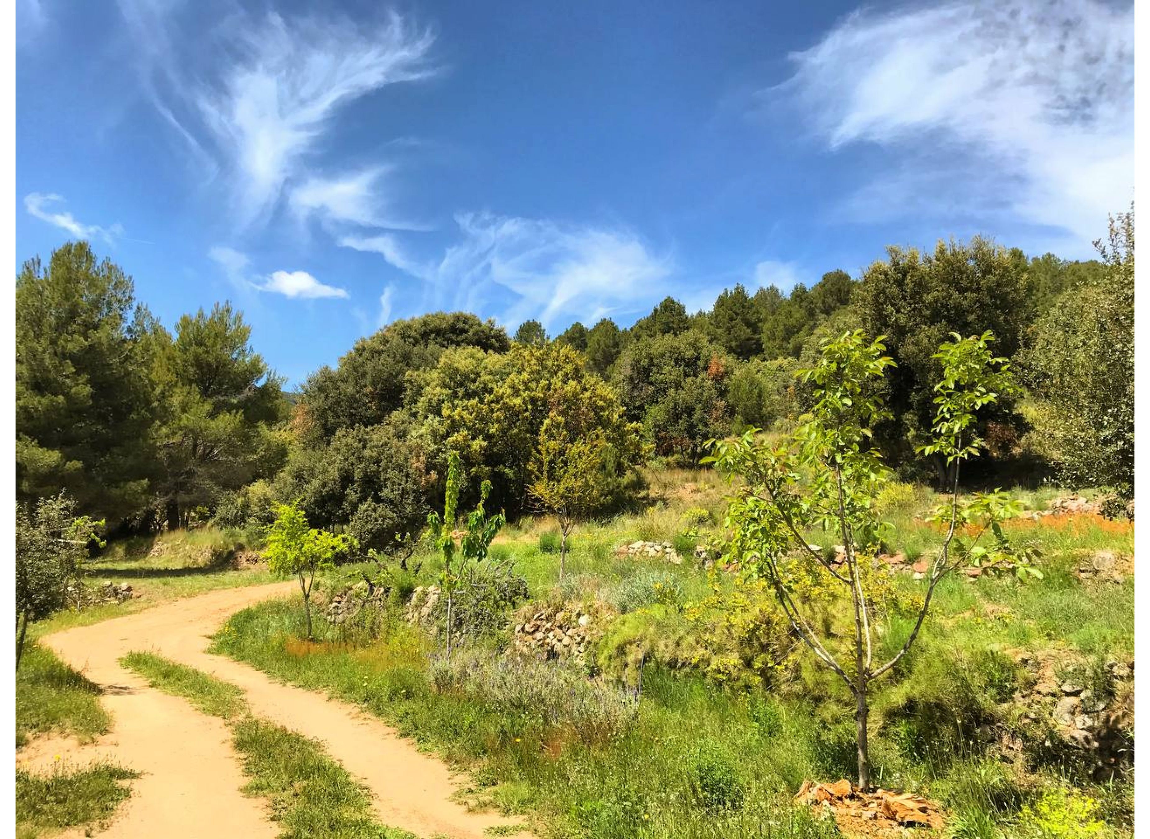 El Águila del Norte — Bobilplass in Alforja