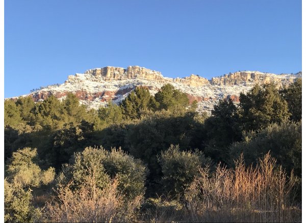 El Águila del Norte — Photo 2