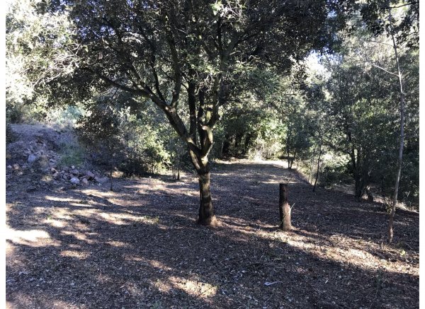 El Águila del Norte — Photo 5