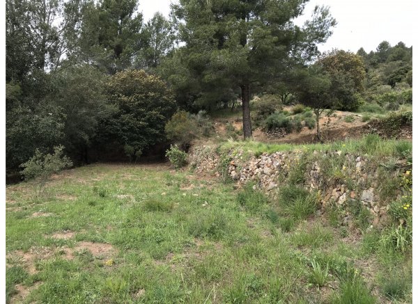 El Águila del Norte — Photo 6