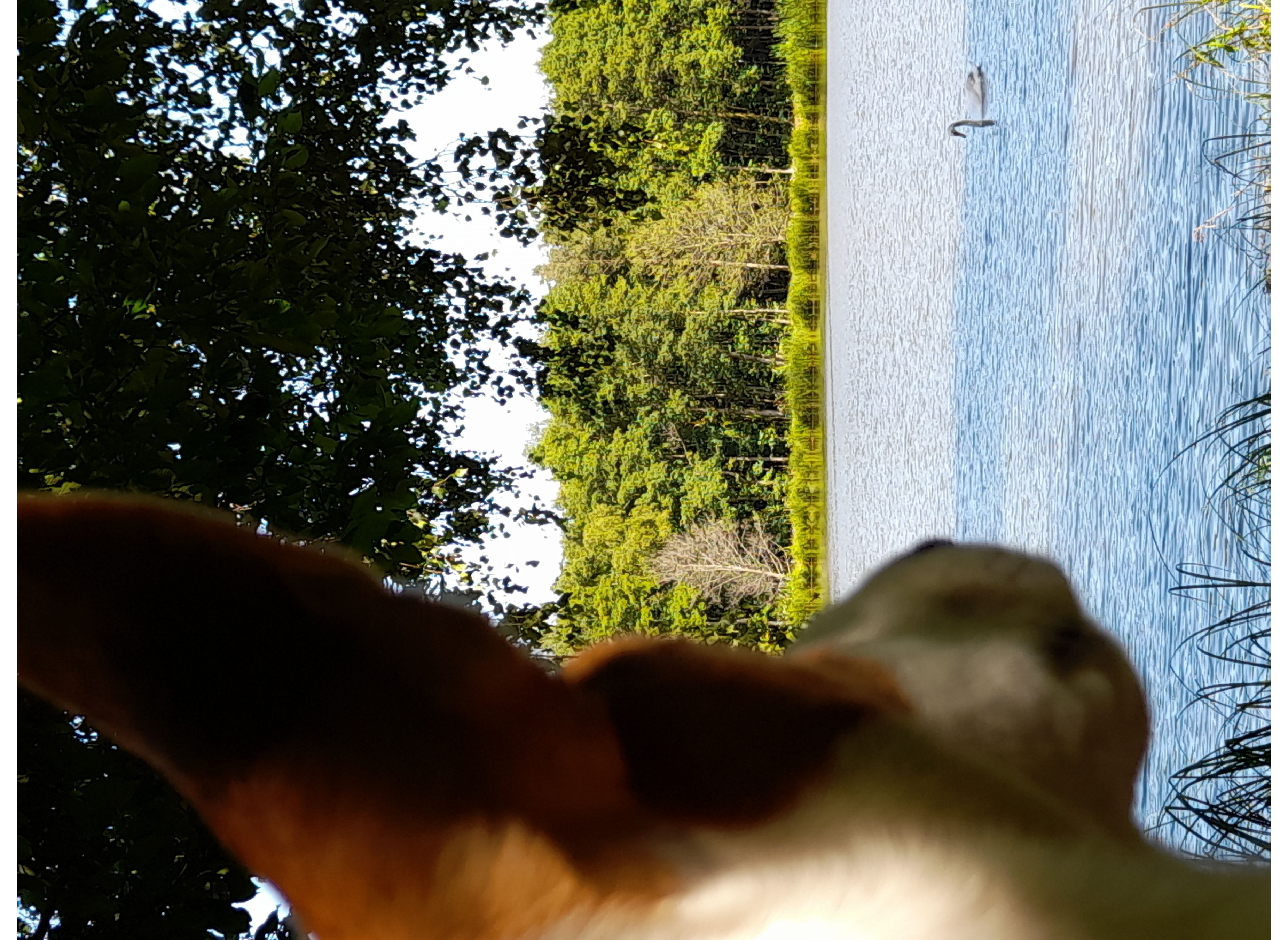 Etang — Kemp in Lachapelle-Sous-Chaux