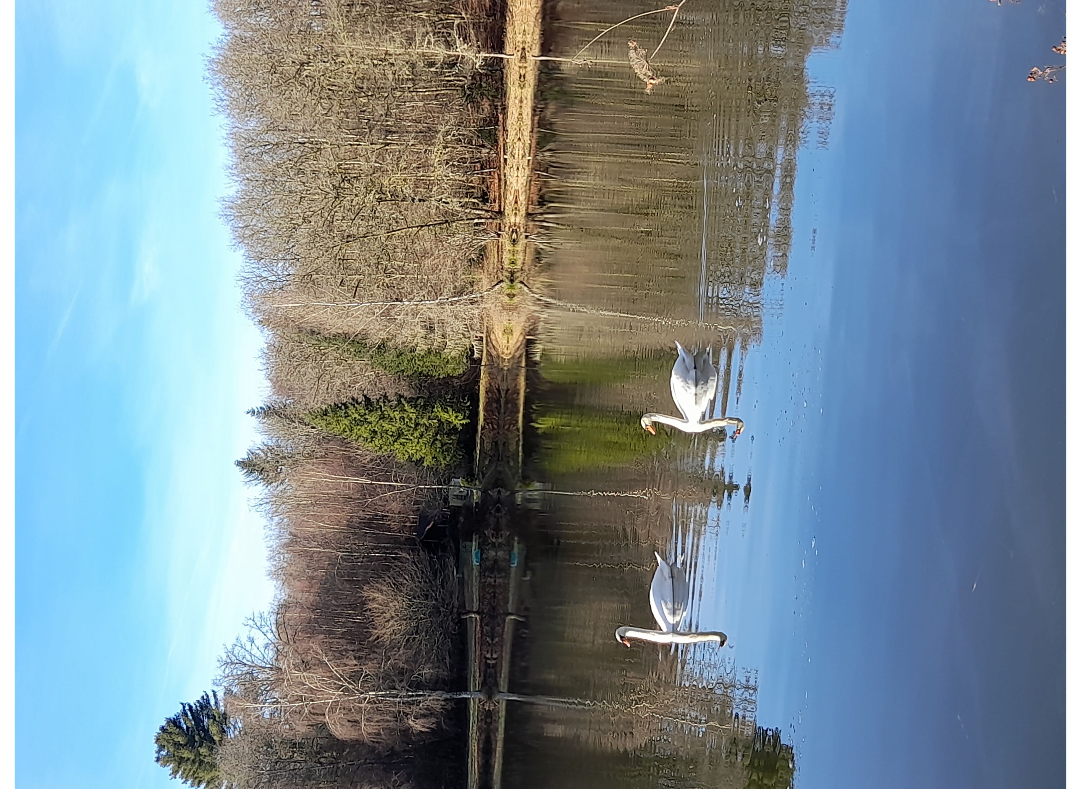 Etang — Camping in Lachapelle-Sous-Chaux
