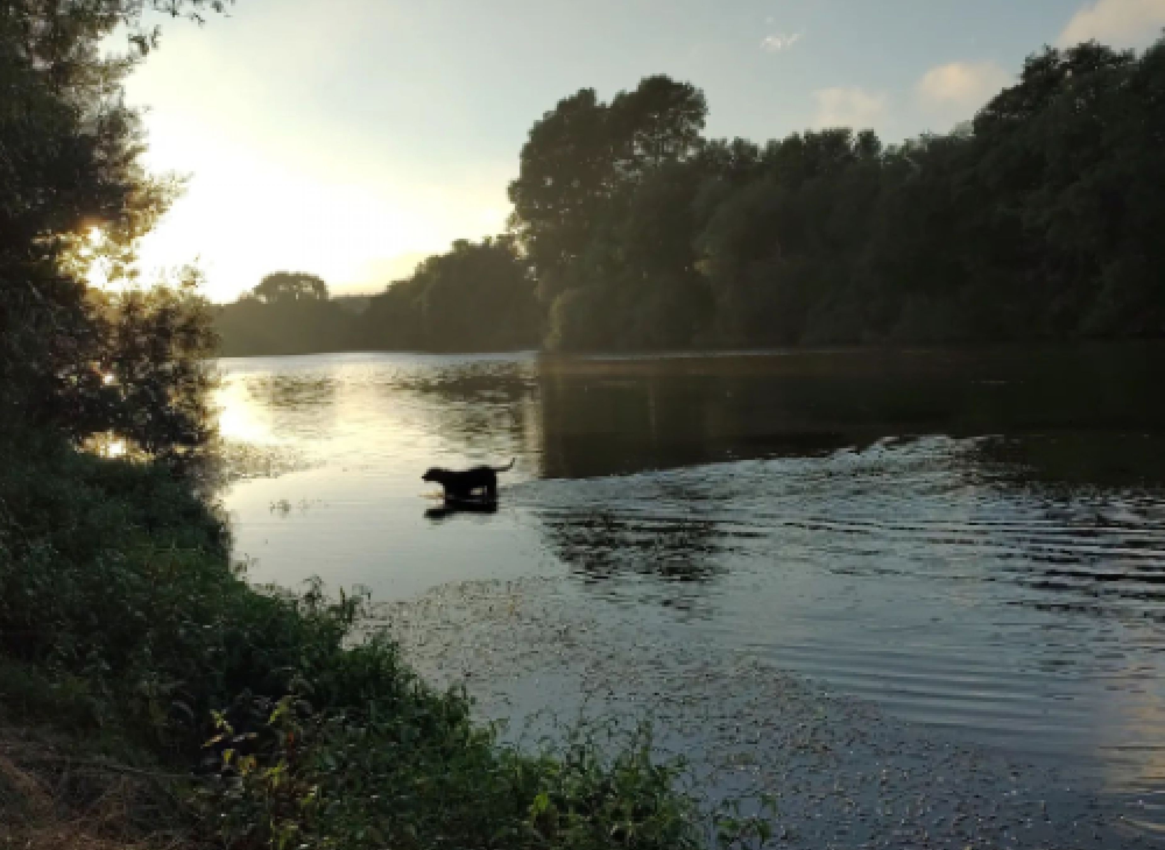 Trovela River Camp — Camping in Viana do Castelo