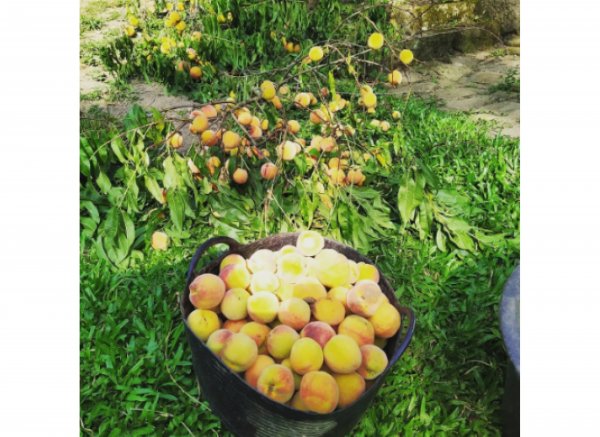 Trovela River Camp — Photo 4