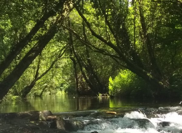 Trovela River Camp — Photo 6