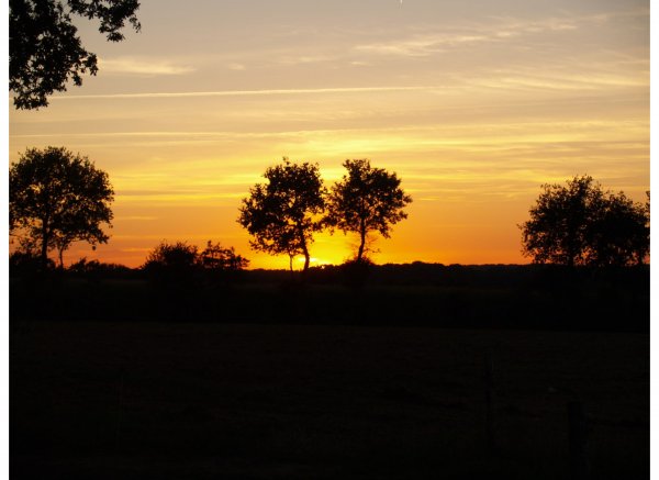 Chez Claire et Patrick — Photo 6