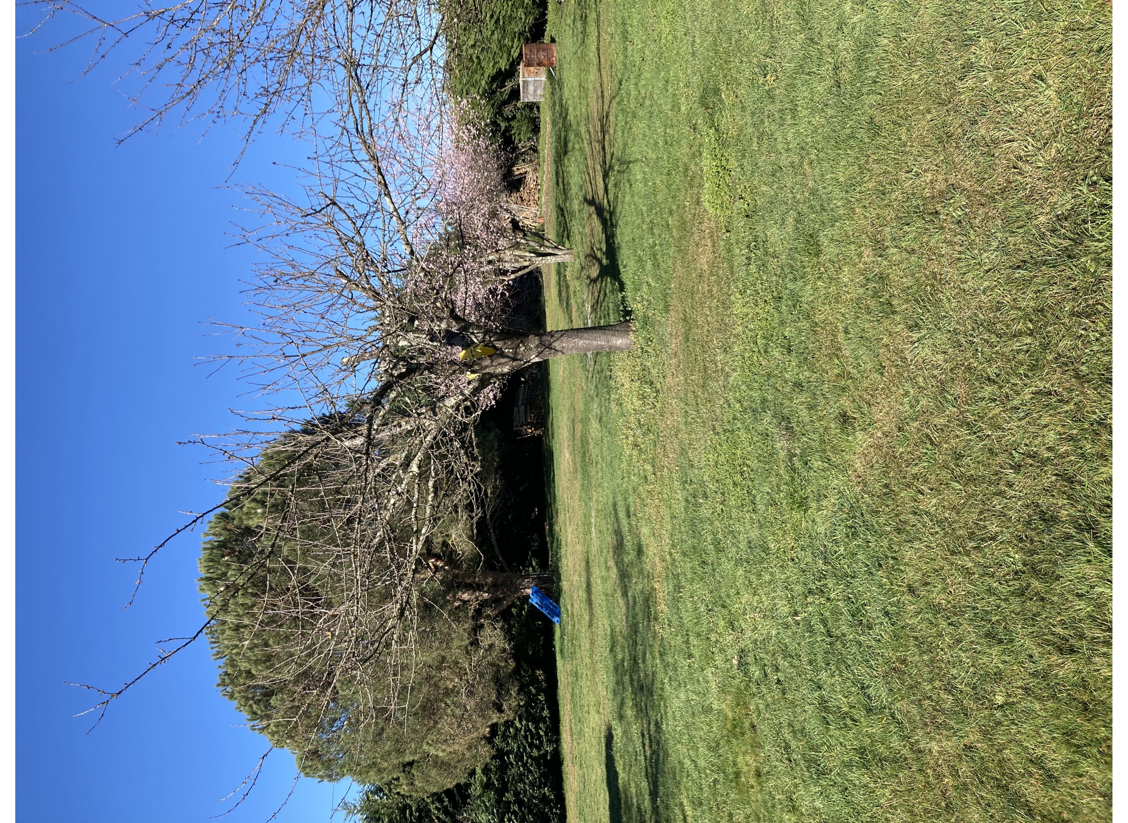 Coeur vanille — Campingplass in Montréjeau