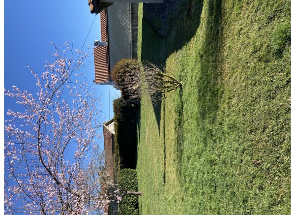 Coeur vanille — Photo 3