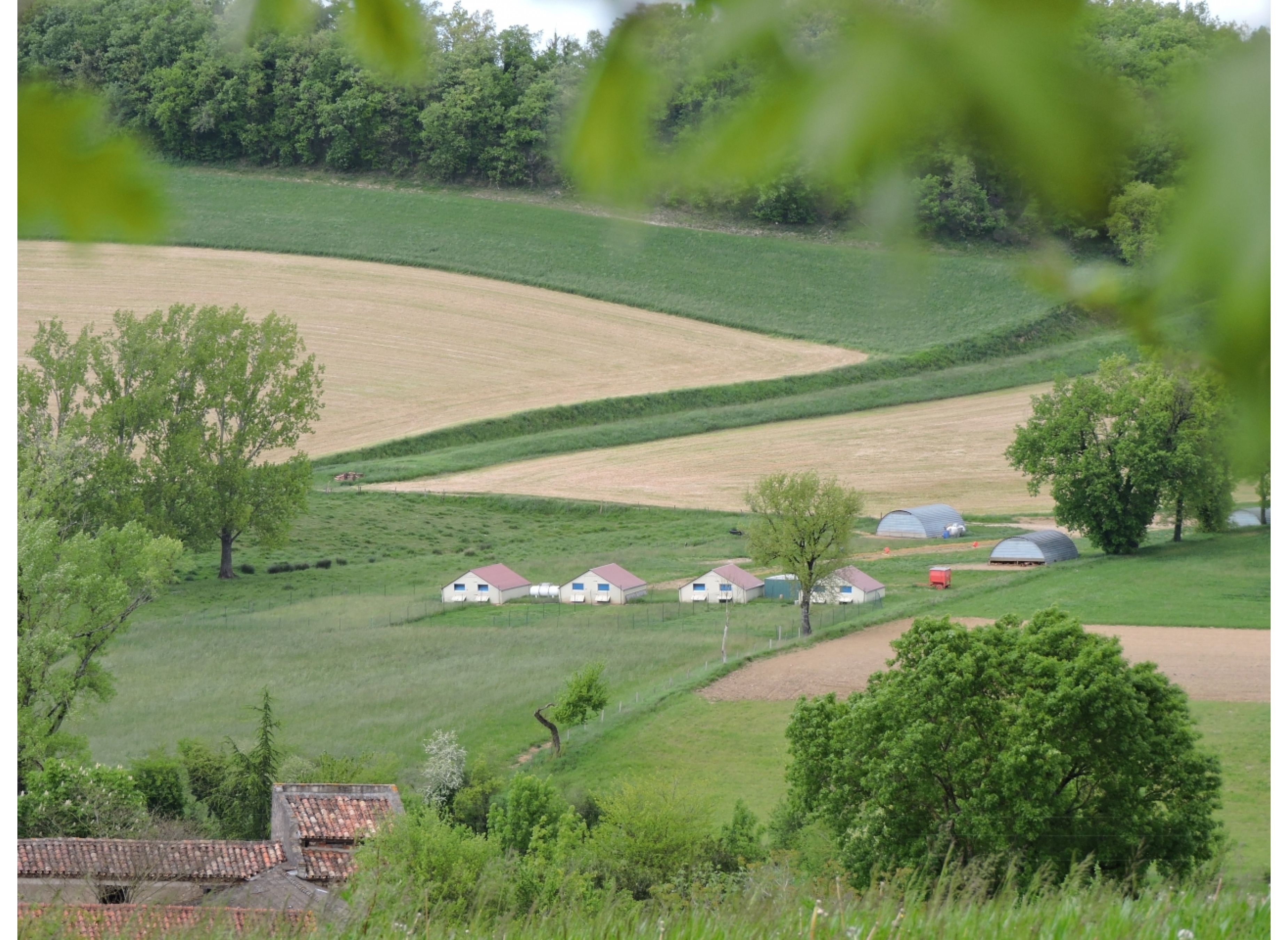 Camping de la ferme familliale — Kamp yeri in Saint-Hippolyte