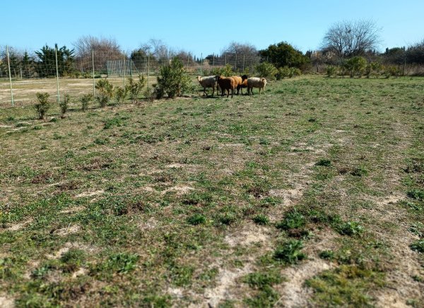 Camping de la ferme familliale