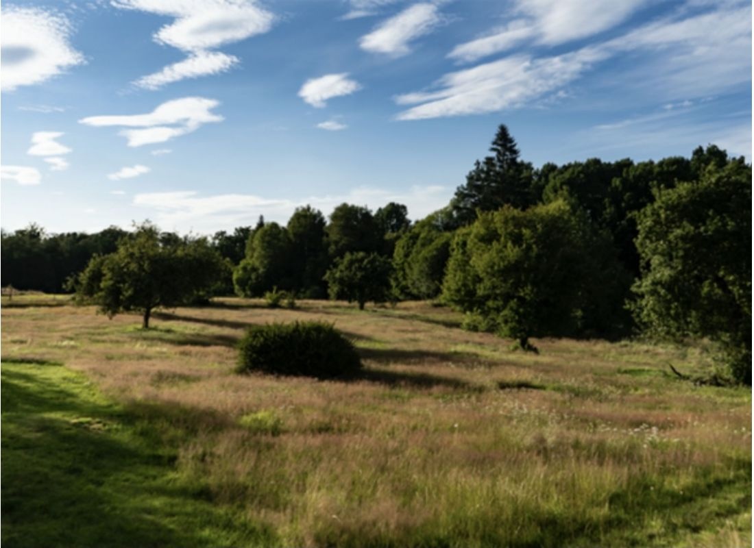 Toftahult Bed&Breakfast — Sítio de acampamento in Ryd