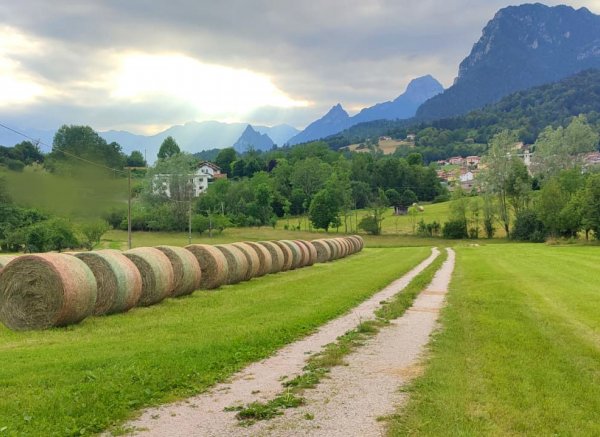 Dolomiti Spaces — Photo 2