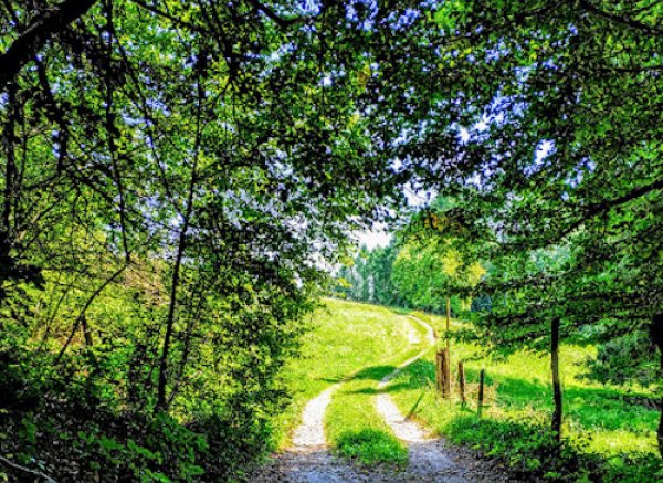 Dolomiti Spaces — Photo 4